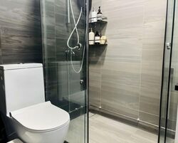 Blk 239 Bukit Panjang Ring Road (Bukit Panjang), HDB Executive #562242721